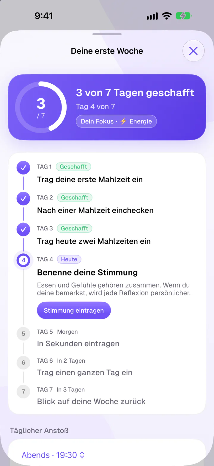 Deine erste Woche in Fimbl an Tag 4 von 7, die ersten drei Schritte sind erledigt
